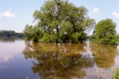 hochwasser_2013_3_20150226_1324295836