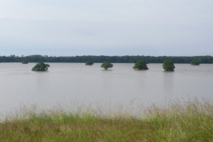 hochwasser_2013_9_20150226_2029160218