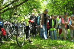 kirchenfuehrung_12_20130606_1430042297