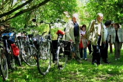 kirchenfuehrung_13_20130606_1195731906